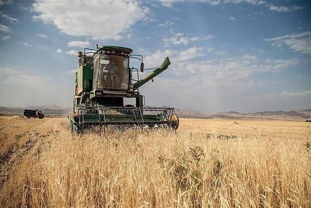 خرید تضمینی گندم در گلستان از ۴۰۰ هزار تُن عبور کرد