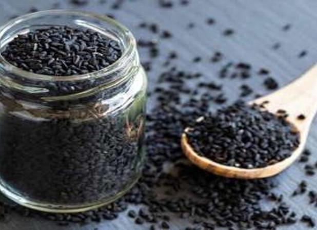 آغاز برداشت سیاهدانه در غرب گلستان با پیش‌بینی برداشت ۱۵۰ تن محصول
