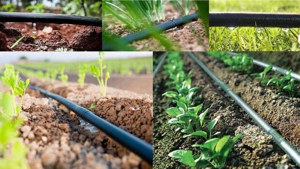 افزایش آب بها در صورت عدم اجرای برنامه آبیاری نوین