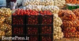 محدودیت های جدید صادرات پیاز و گوجه فرنگی بزودی اعلام خواهد شد