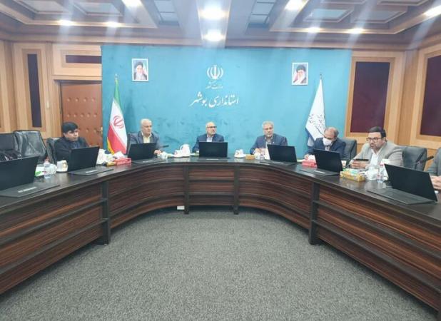 معاون استاندار بوشهر: کشتارگاه‌های دام استان ساماندهی شوند