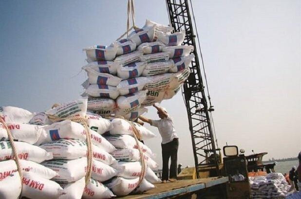 ممنوعیت ثبت سفارش و واردات برنج طی ۴ ماه