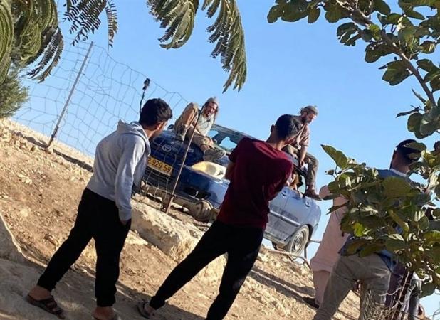 تشدید حملات شهرک نشینان صهیونیست به فلسطینی‌ها/ 71 حمله طی یک هفته