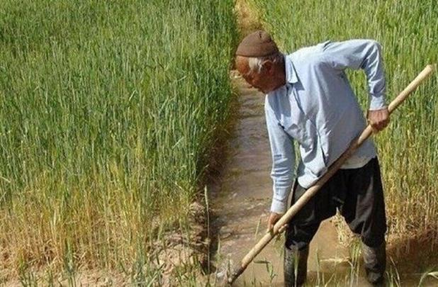 رنج کشاورزان سلیمان‌آباد تنکابن؛ زیر سایه برداشت بی‌رویه از رودخانه