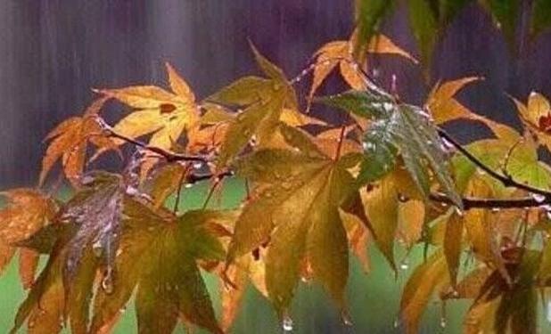 رگبارهای پاییزی در راه مازندران