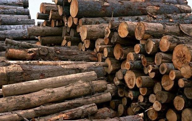 کشف بیش از ۲۰ تن زغال و چوب قاچاق در یزد