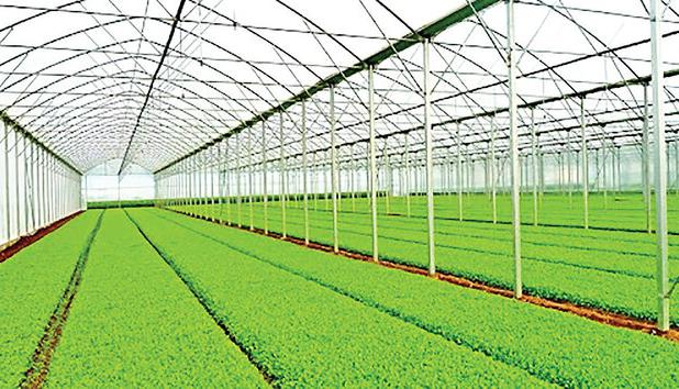 معاون استاندار خوزستان:  شهرک‌های کشاورزی زیرساخت تحقق کشاورزی نوین هستند