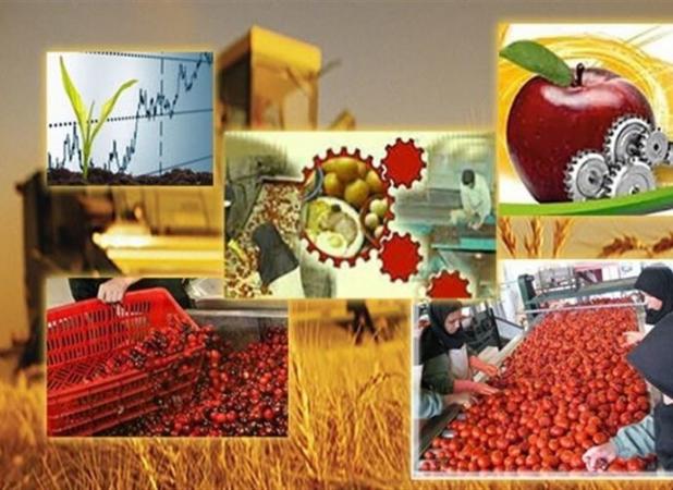 ۳۵۰ همت پروژه صنایع تبدیلی در حال اجرا است