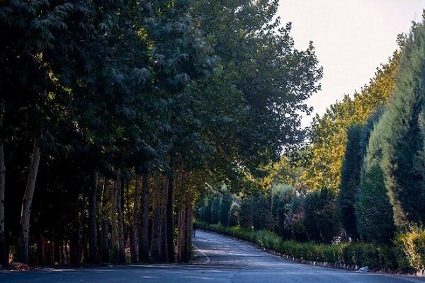 تملک ۷ باغ در تهران برای تبدیل به بوستان در محلات کم‌برخوردار