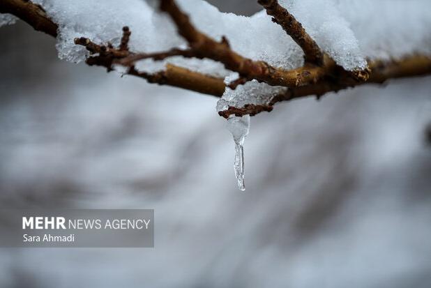 بارش برف در شهرستان قوچان