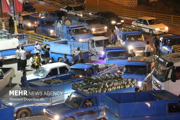 مبین: نشاط شهری باید در اولویت برنامه‌های فرهنگی باشد