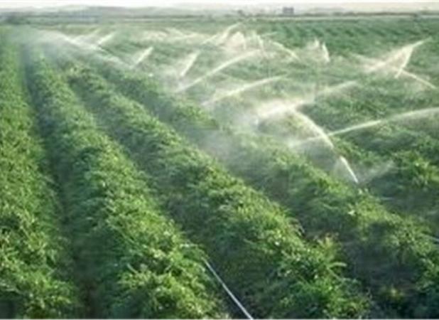 ضرورت فاصله گرفتن از کشاورزی سنتی و حرکت به‌ سمت کشاورزی دانش‌بنیان و اقلیم‌سازگار