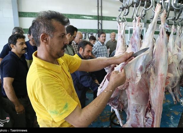 ۷ توصیه دامپزشکی برای رعایت اصول بهداشتی قربانی