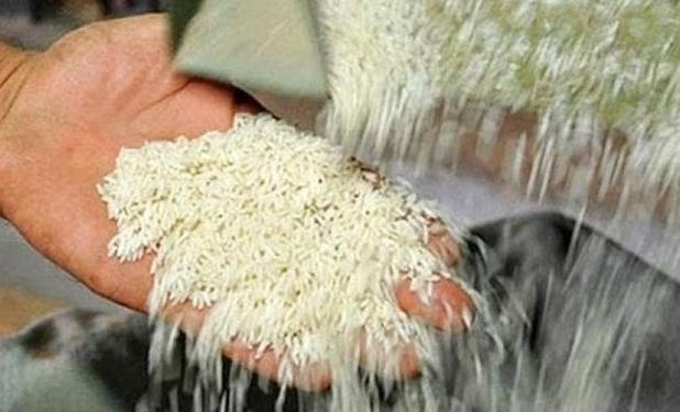 چرایی ماندن برنج‌ های کشاورزان در انبارها