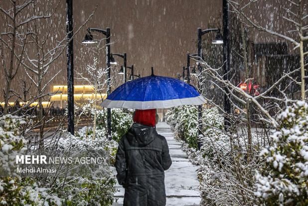 بارش برف در اقلید فارس
