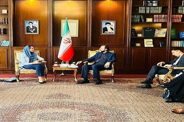 گزارشگر ویژه سازمان ملل با غریب‌آبادی دیدار کرد
