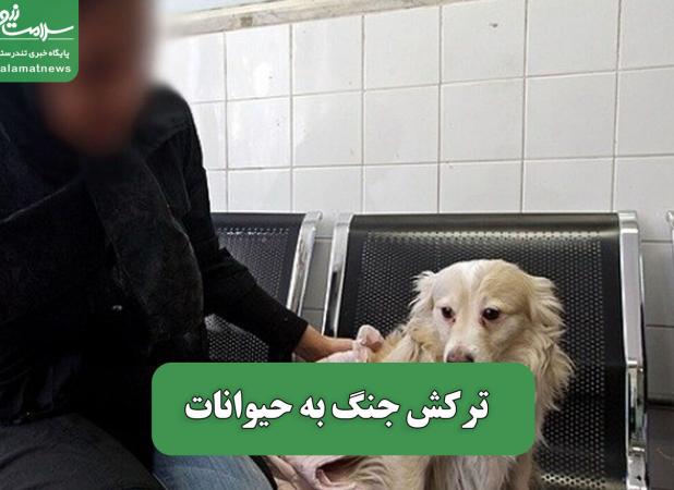 ترکش جنگ به حیوانات