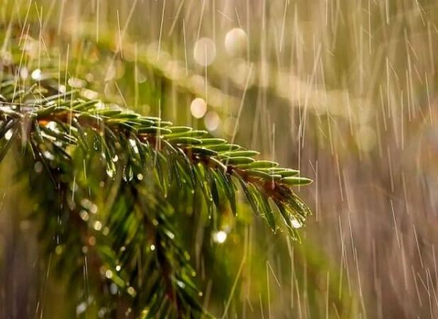 بارش باران در البرز از فردا