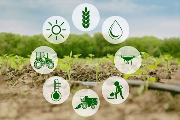 تشکیل ستاد ملی همکاری فناورانه در حوزه کشاورزی و امنیت غذایی