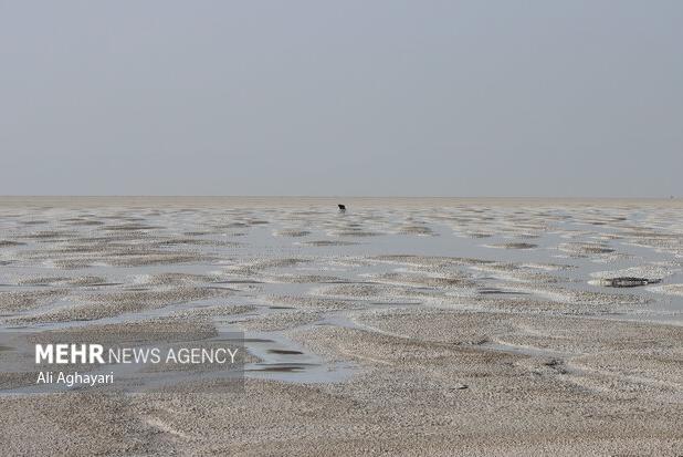 جباری: حق آبه دریاچه ارومیه تامین شود؛ نیاز آبی سالانه ۳.۴ میلیاردی