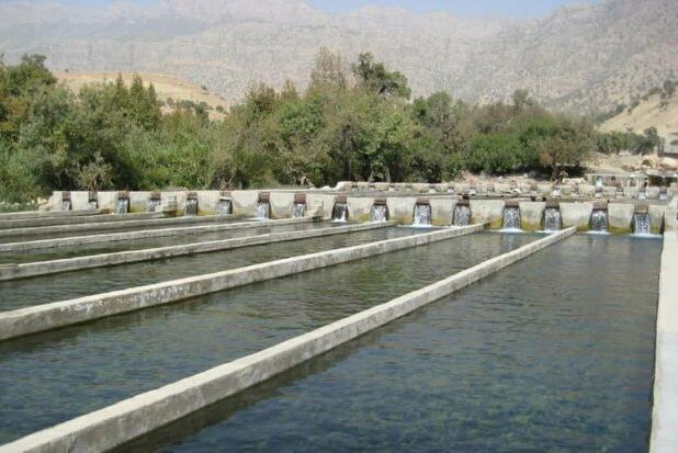 احداث مجتمع پرورش ماهیان خاویاری در بخش سوسن ایذه