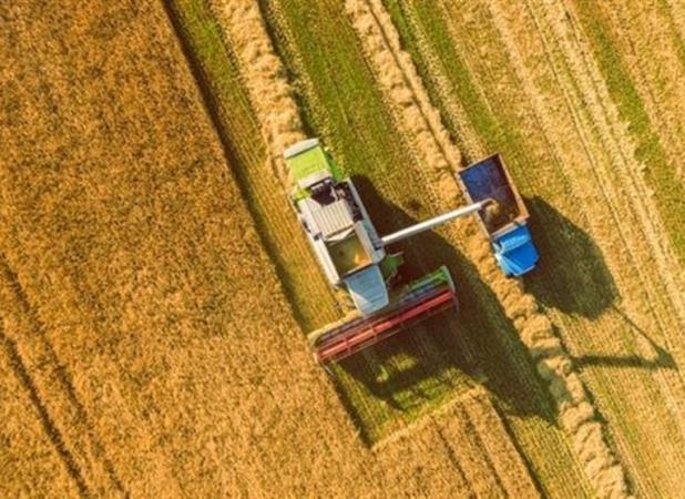 عدم توافق درباره نرخ خرید تضمینی گندم/ اختلاف قیمت ۱۰ هزار تومان