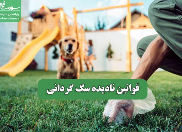 قوانین نادیده سگ گردانی