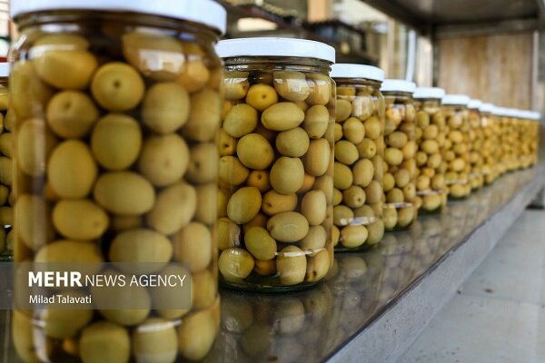 عباسی: معضلات زیست‌محیطی فرآوری زیتون مشهود است