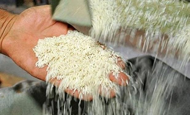 2 اقدام استراتژیک دولت برای کاهش قیمت برنج 