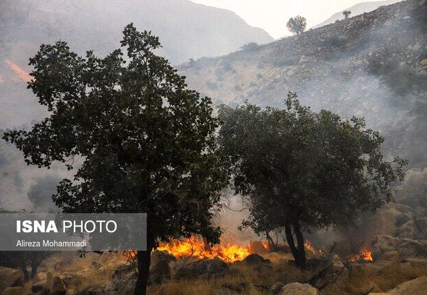 ضرورت راه‌اندازی واحد اطفاء حریق در ادارات منابع طبیعی