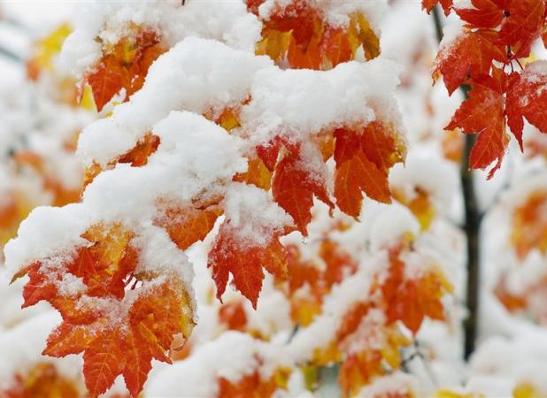 هواشناسی ایران ۱۴۰۲/۰۹/۲۹؛ افزایش آلودگی هوا در تهران/ سامانه بارشی جمعه وارد کشور می‌شود