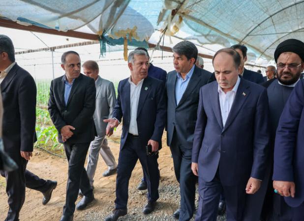 وزیر جهاد کشاورزی از یک مجموعه گلخانه‌ای در جیرفت بازدید کرد