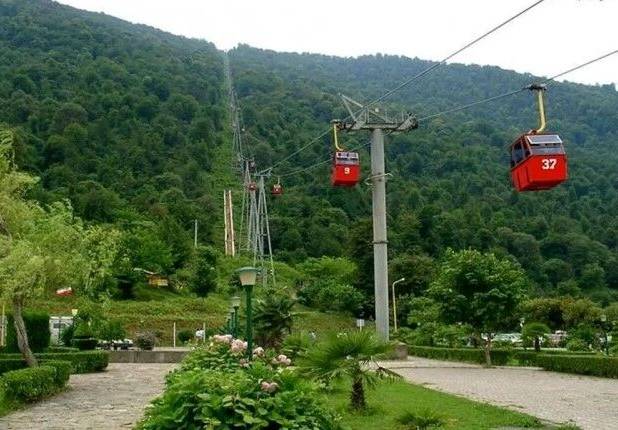 قدردانی از مخالفت سازمان محیط زیست با تله کابین جنگل ناهارخوران