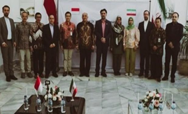 بازار 8 میلیارد دلاری اندونزی در انتظار دانش بنیانهای ایرانی 