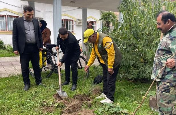 ۱۲ اصله نهال به یاد شهیدان خبرنگار در آستارا غرس شد