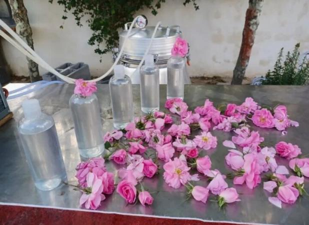 ادهمی: روند نزولی صادرات گلاب و کالا از گمرک کاشان نگران کننده است 