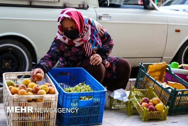 ساماندهی صنوف و ارتقای انضباط شهری در منطقه ۱۹