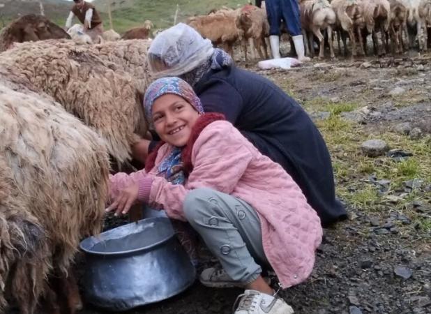 آیین کوچ عشایر دشت مرغال تربت جام برگزار می‌شود