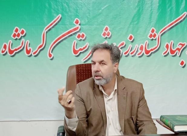 کرمانشاه رکورددار جوجه‌ریزی و تولید گوشت سفید در استان