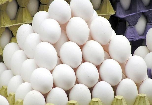 وقتی «گرانی» شانه‌به‌شانه «تخم‌مرغ» در خراسان شمالی می‌زند