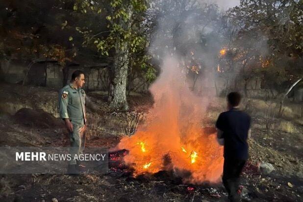 آتش زدن شاخ و برگ درختان در شمال تهران در سایه عدم نظارت مسئولین