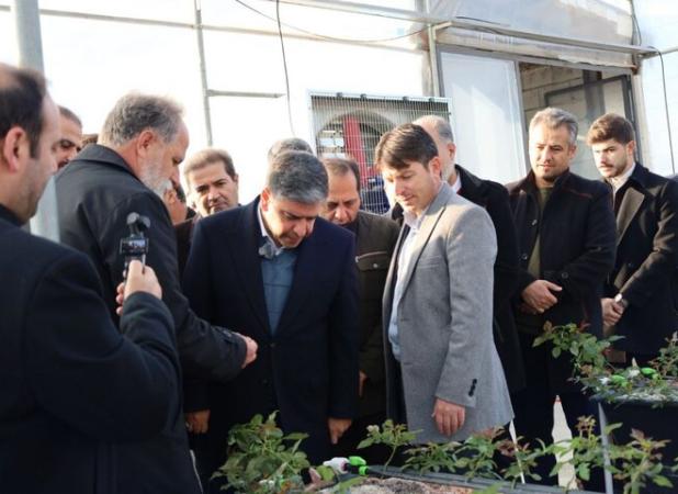 بهره‌برداری از یک گلخانه تولید گل در اندراب سرعین