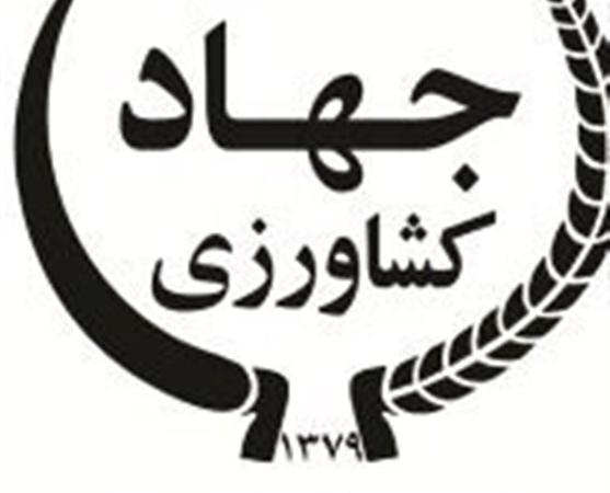 چالش‌های راهبردی در سازمان تحقیقات و ضرورت اصلاح رویه‌ها