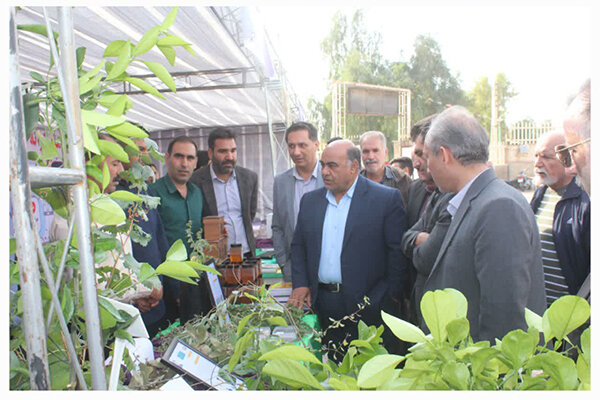 نمایشگاه استانی هفته پژوهش در قصرشیرین گشایش یافت