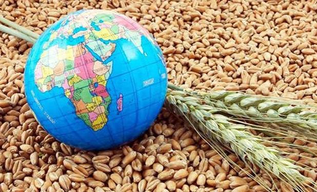 پشت پرده نسخه امنیت غذایی آمریکا برای دیگر کشورها