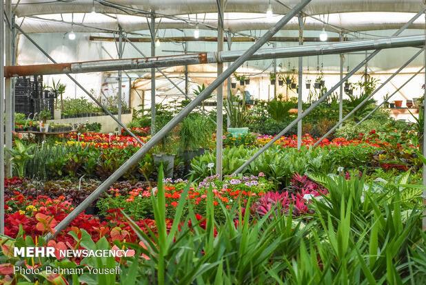 نمایشگاه بین‌المللی گل و گیاه بندرعباس