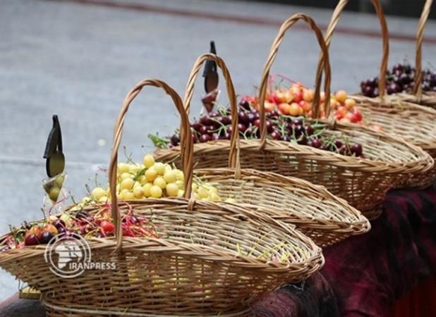جشنواره اشنویه؛ گردشگری در پایتخت گیلاس ایران