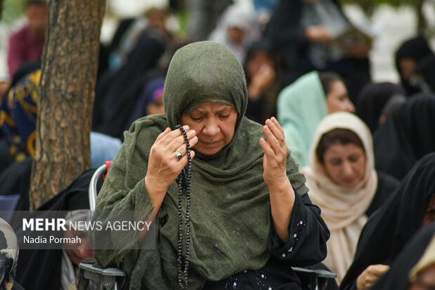 عرفه؛ روز بندگی، بخشش و تجلی ولایت الهی