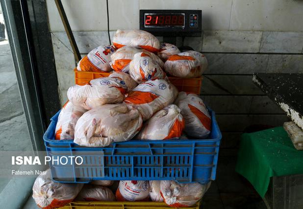 توزیع بیش از ۵۰۰ تن مرغ منجمد تنظیم بازاری در آذربایجان‌غربی