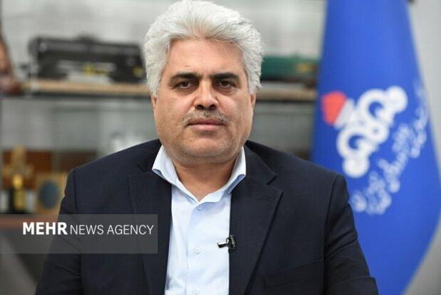 استقرار ۱۸ جایگاه سیار عرضه سوخت در مرزهای ایران با عراق